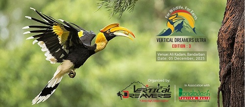 Vertical Dreamers Ultra Edition-3